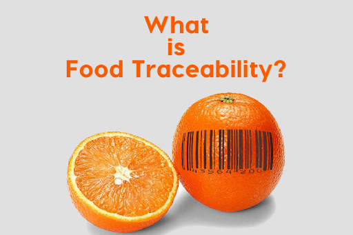 Food traceability@Futurist.gr